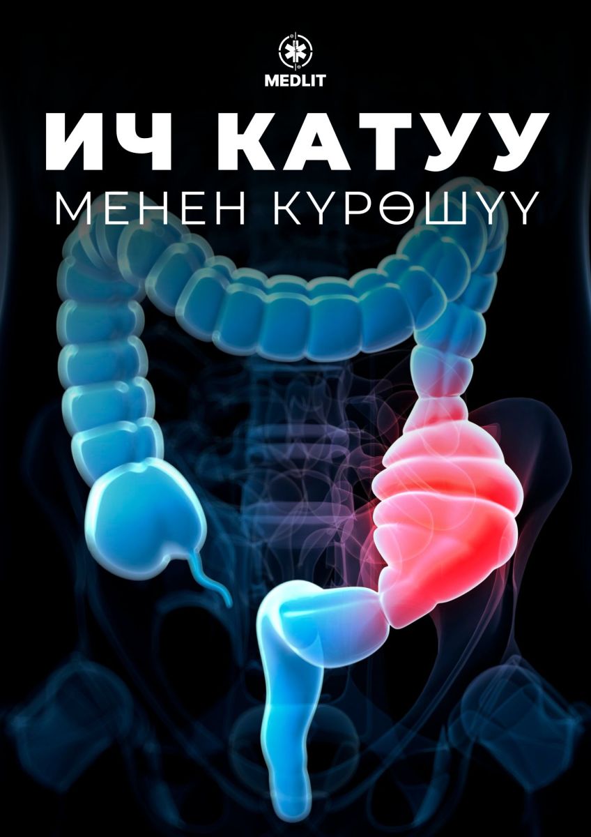 ИЧ КАТУУ МЕНЕН КҮРӨШҮҮ